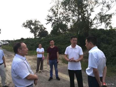 落实河长制，筑牢生态屏障