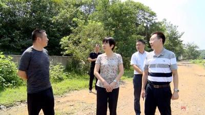 刘秀玲：扛起全面从严治党主体责任  推进经济社会高质量发展