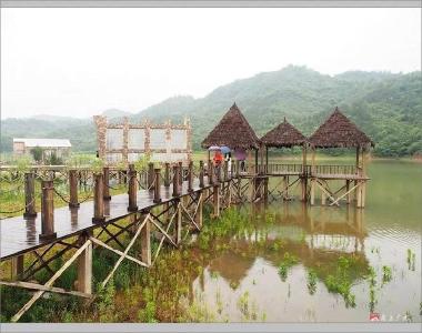 跻身“国家队”！广水市7个村获评“国家森林乡村”