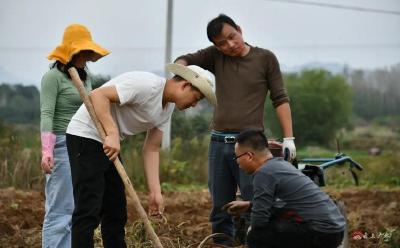 学习强国推送丨湖北广水：电商消费扶贫助农增收