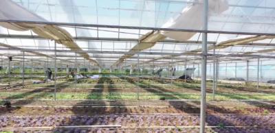 学习强国推送丨湖北广水泉水村：“山旮旯”喜开致富花