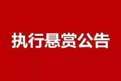 湖北省广水市人民法院 执行悬赏公告