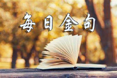 每日金句（朗读版）|习近平论学习贯彻党的创新理论