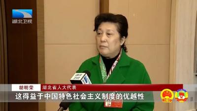 “战疫密码”：代表委员热议23245