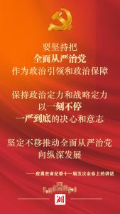 坚定不移推动全面从严治党向纵深发展 应勇在省纪委全会上这样强调