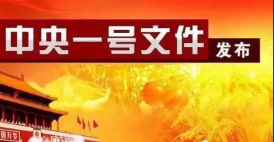 2021年中央一号文件公布 提出全面推进乡村振兴