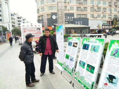 市林业局扎实开展野生动植物保护和爱鸟周宣传活动