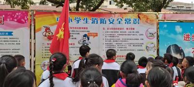 杨寨镇中心小学开展安全自护和心理健康主题队日活动