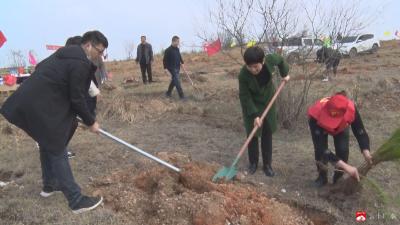 刘秀玲等领导到关庙镇义务植树