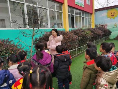 太平镇中心幼儿园开展植树节活动