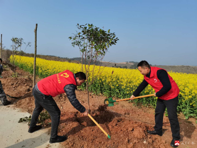 李店镇：植树造新绿 振兴添动力