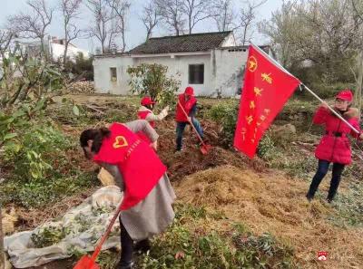 武胜关镇：植树增绿正当时