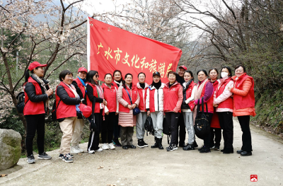 市文化和旅游局组织开展学雷锋志愿服务活动