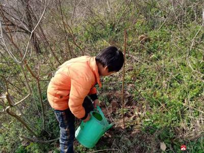 春风十里，不及一抹绿意 ——蔡河镇黄土中心小学开展植树节活动