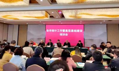 全市统计工作暨基层基础建设培训会召开