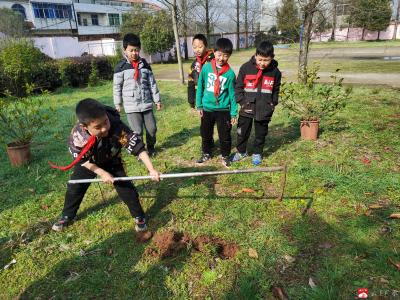 郝店镇高楼中心小学：同植一棵树，共创美丽校园