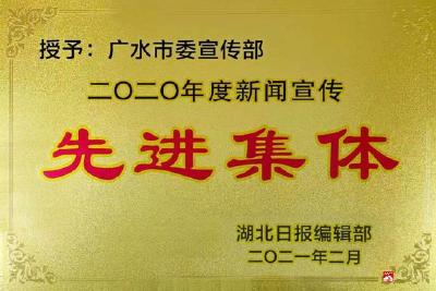 奏响时代强音 凝聚广水力量 ——2020年广水市宣传思想工作综述 