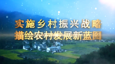 “乡村振兴听我说”之十五：访谈城郊街道办事处胡家桥村党支部书记朱贵生