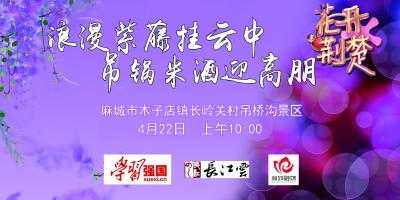 花开荆楚丨木子店镇紫藤花开如瀑布，梦幻了整个春天~快来打卡！