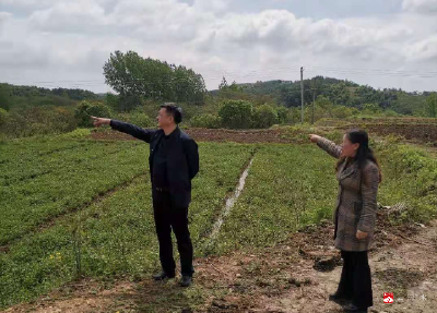 市财政局开展党史学习教育专题调研讲党课活动