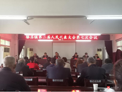 骆店镇召开第二届人民代表大会第七次会议