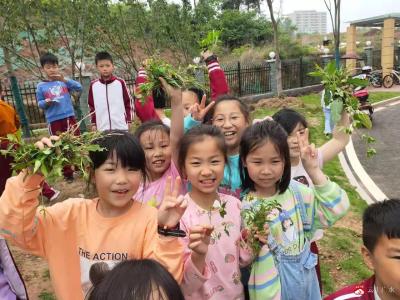 除草护绿，我们是认真的 ——永阳学校开展师生除草活动 