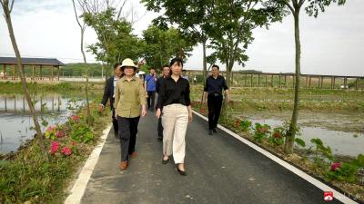 我市积极筹办“百年党史  ‘莲’洁你我——党史廉政教育宣传月暨爱莲节”活动