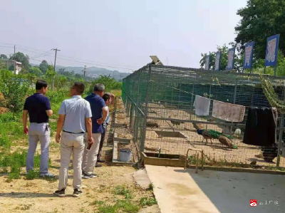 广水市林业局对野生动物驯养繁殖场所进行摸底检查