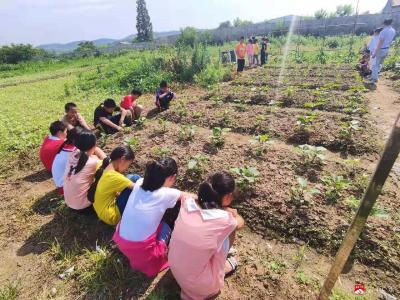 广办驼子中心小学：播撒太空种子  让科学梦发芽