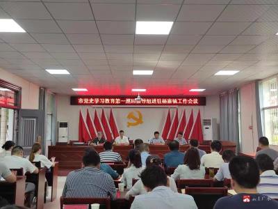 市党史学习教育第一巡回指导组进驻杨寨镇
