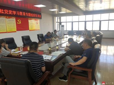 广水市供销合作社机关党支部召开党史学习教育专题组织生活会