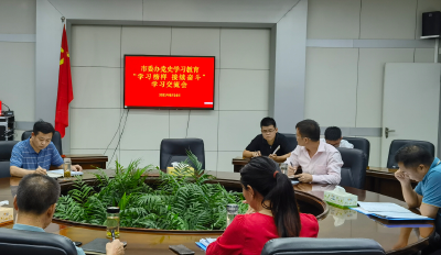 市委办公室召开党史学习教育 “学习榜样、接续奋斗”学习交流会