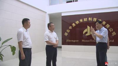 杨光胜调研中澳纳米材料有限公司生产经营情况
