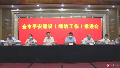 我市召开平安建设（综治工作）推进会