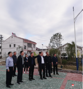 随州市委常委、组织部长吴丕华同志赴李店镇调研基层党建工作