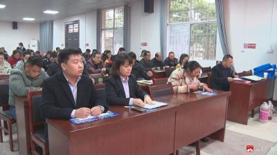 杨寨镇召开就业创业政策宣传专场推进会