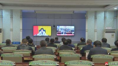 杨光胜等领导收看收听“全国、全省、随州疫情防控工作”电视电话会