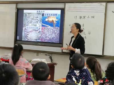 吴店镇中心小学开展教研活动