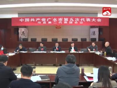 V视｜【聚焦党代会】市九次党代会各代表团继续分团讨论