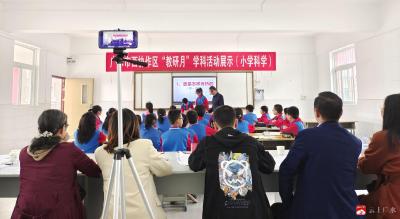 西协作区学科展示活动在城郊应台中心小学举行