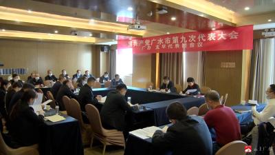 【聚焦党代会】崔传金参加广办 太平代表团分团讨论