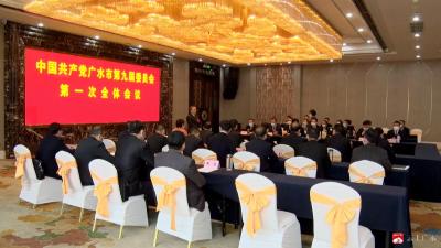 【聚焦党代会】中国共产党广水市第九届委员会举行第一次全体会议  杨光胜当选市委书记