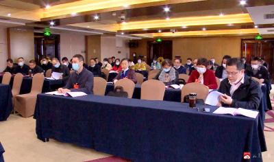 【聚焦两会】市九届人大一次会议分团讨论