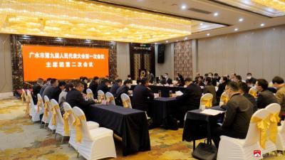 【聚焦两会】市九届人大一次会议主席团召开第二次会议