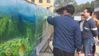 湖北泰晖建设工程公司、天江文旅到我市考察农文旅项目