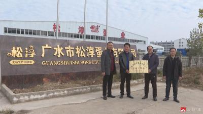 广水市松淳蛋业有限公司“专家工作站”成立