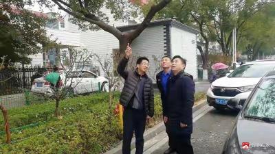 【创建文明城市】广水市园林局：加强行道树修剪整形  消除安全隐患