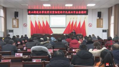 应办：学习贯彻党的十九届六中全会精神  感悟思想伟力  汇聚发展合力  激发奋进动力