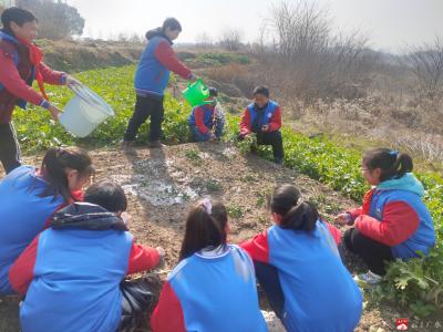 城郊北斗中心小学开展劳动实践教育活动