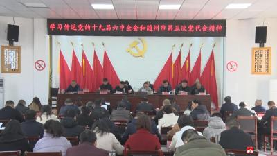 应办：传达学习党的十九届六中全会和随州市第五次党代会精神 全国找坐标 全省争位次 随州当标杆